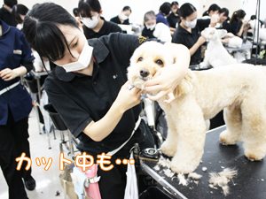 ☆カメラ目線特集☆